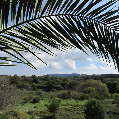 Apartment Asklipion Valley Kos-Stadt
