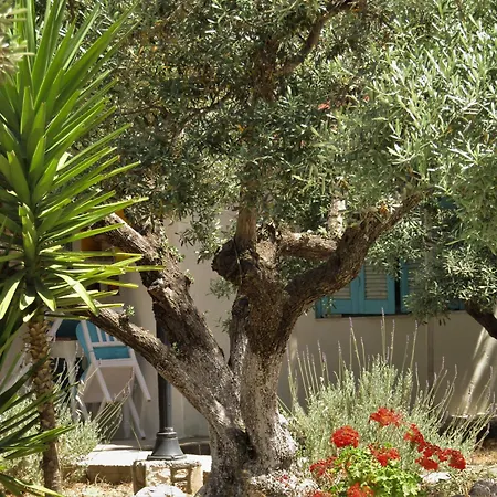 Apartment Asklipion Valley Kos-Stadt